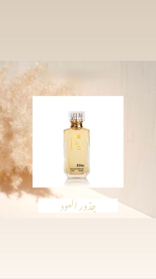 جذور العود